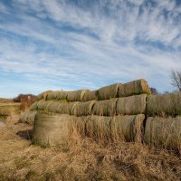 Старая солома... :: Николай Гирш Старая солома... :: Николай Гирш
