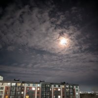 Ночь перед Рождеством... :: Андрей Хлопонин