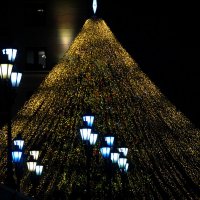 Ёлочка, гори! ) :: Всеволод 