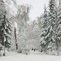 В Центральном парке :: Галина Нестратова
