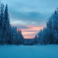 Зимняя дорога :: Александр Гладких