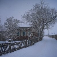 Снегопад. :: Павел Крутенко