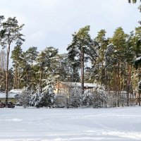 Про смоленскую зиму. :: Милешкин Владимир Алексеевич 