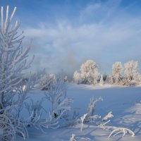 Иней :: Владимир Звягин