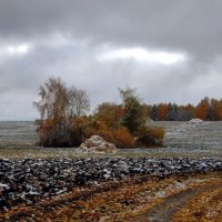 Первый снег. :: nadyasilyuk Вознюк