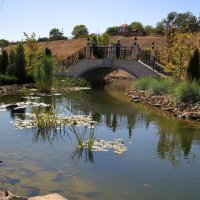 Мостик и рыбки :: Леонид 