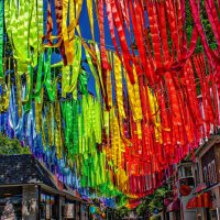 Цвет и тени :: Игорь Цвет и тени :: Игорь