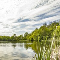 Природа :: Дмитрий Кутепов