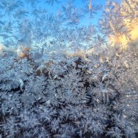 Снова надвигаются морозы :: Татьяна Машошина Снова надвигаются морозы :: Татьяна Машошина