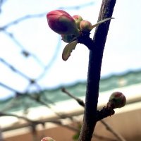 Природа. Горячий ключ. +12* :: Alexey YakovLev Природа. Горячий ключ. +12* :: Alexey YakovLev