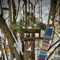 Творческий подход!) :: Любовь 