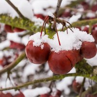 Прощание с летом. :: Lucy Schneider 