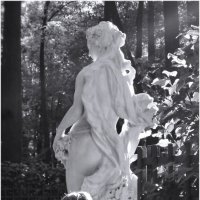 Навстречу северной Авроры... (П) :: sv.kaschuk 