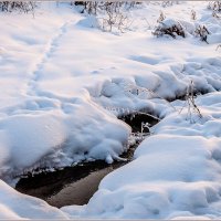 Родник :: Aquarius - Сергей