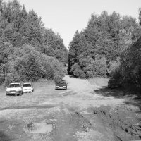 Фотография :: Денис Безногов