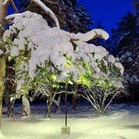 Вечерние зарисовки :: Любовь Сахарова