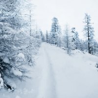 /// :: Константин Есипов