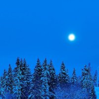 Зимнее утро :: Александр Гладких Зимнее утро :: Александр Гладких