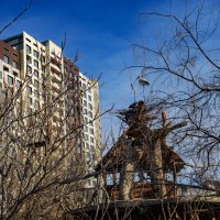 Аист на крыше :: Анатолий Чикчирный