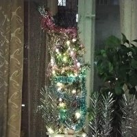 Это наша ёлка :: Дмитрий Никитин