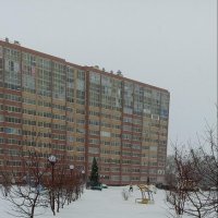 Аллея и Ёлка на районе :: Андрей Макурин