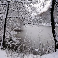 Декабрь Парк Южный, Калининград :: Рита Симонова