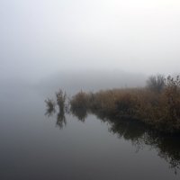 Туман. :: Александр. AVG100 ---