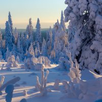 Зефир Зимы :: Евгений Тарасов 