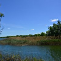 У реки. :: Виктор У реки. :: Виктор