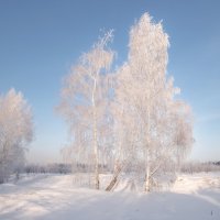 Нежная зима :: Марина Фомина.