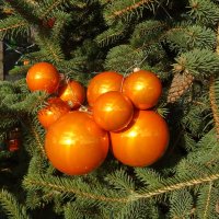 Праздничное :: PRP 