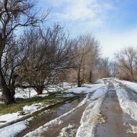 Репетиция Весны.... :: Надежда Куркина 
