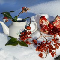 Красное и белое... :: Надежда Куркина 