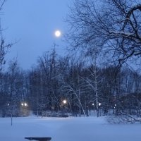 Утро в парке! :: Anna-Sabina Anna-Sabina