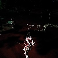 *** :: Сергей Полянский