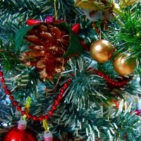 С Рождеством! :: Сергей Карачин