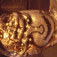 Многоликость .,,( Скорлупа кокоса) :: Валерий Кокорев Многоликость .,,( Скорлупа кокоса) :: Валерий Кокорев