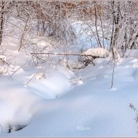 Под белым покрывалом января :: Aquarius - Сергей Под белым покрывалом января :: Aquarius - Сергей