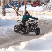 Новогодние каникулы... :: Aquarius - Сергей Новогодние каникулы... :: Aquarius - Сергей