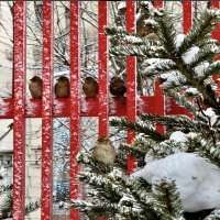 По порядку рассчитайсь!) :: Любовь 