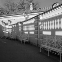 Свето-тени :: Наталья 