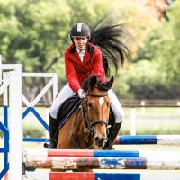 Конкур :: SanSan 