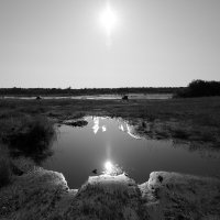 Фотография :: Денис Безногов