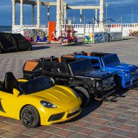 Игрушки :: Анатолий Чикчирный