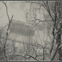 *** :: Aleksandr Gal