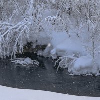 ... :: Жора Житников ... :: Жора Житников