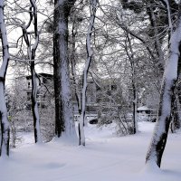 Парк Южный, Калининград :: Рита Симонова Парк Южный, Калининград :: Рита Симонова