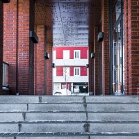 Городской пейзаж с собакой :: Александр Бродский