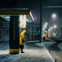 Ожидание в зимний вечер :: Igor Dibrov
