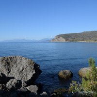 Природа Крыма :: Amazing Cosmea Природа Крыма :: Amazing Cosmea